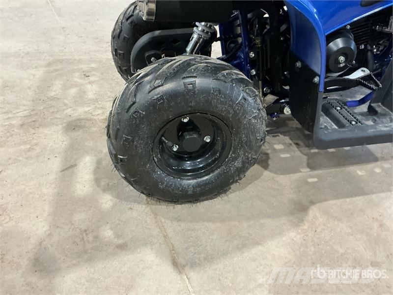 Tao 4x2 ATV (Unused) Всюдиходи