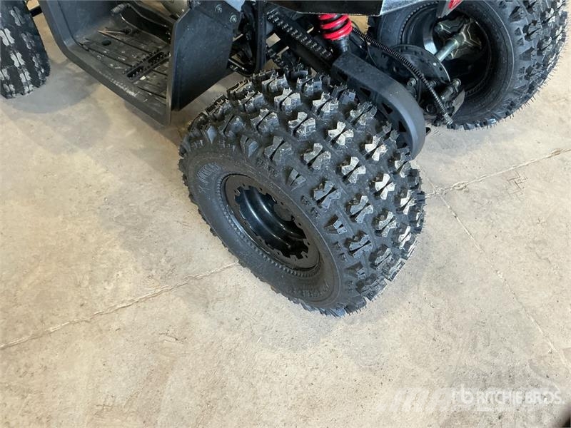 Tao 4x2 ATV (Unused) Всюдиходи
