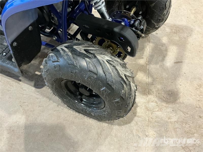 Tao 4x2 ATV (Unused) Всюдиходи