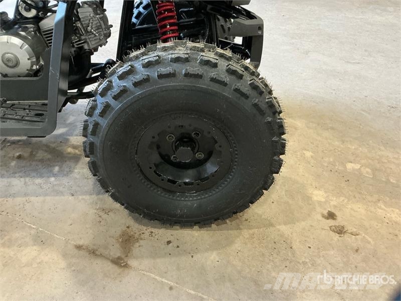 Tao 4x2 ATV (Unused) Всюдиходи