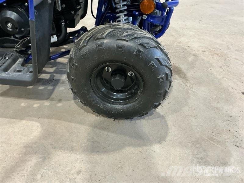 Tao 4x2 ATV (Unused) Всюдиходи