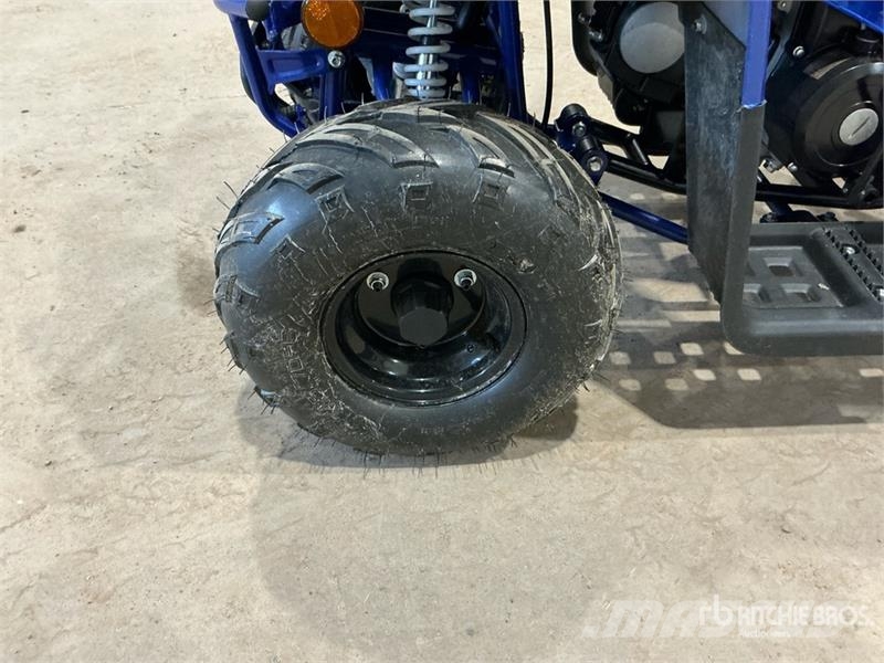 Tao 4x2 ATV (Unused) Всюдиходи