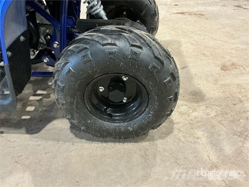 Tao 4x2 ATV (Unused) Всюдиходи