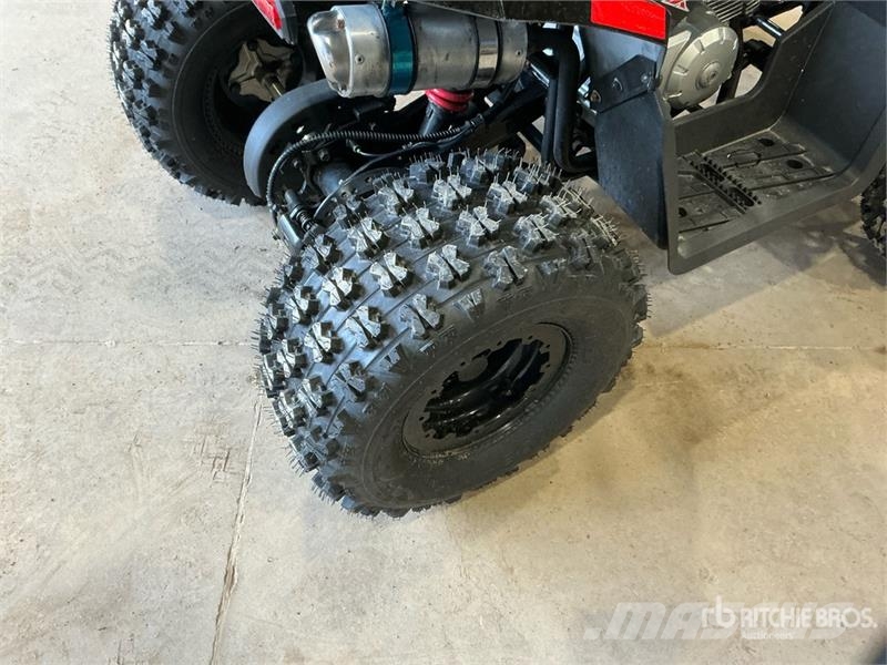 Tao 4x2 ATV (Unused) Всюдиходи