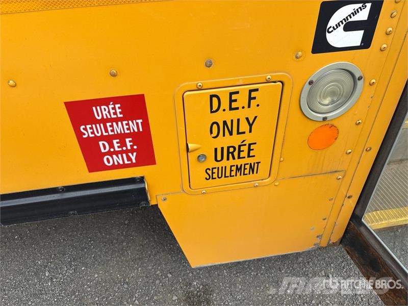 Blue Bird 4x2 72-Seat School Bus Mini buses