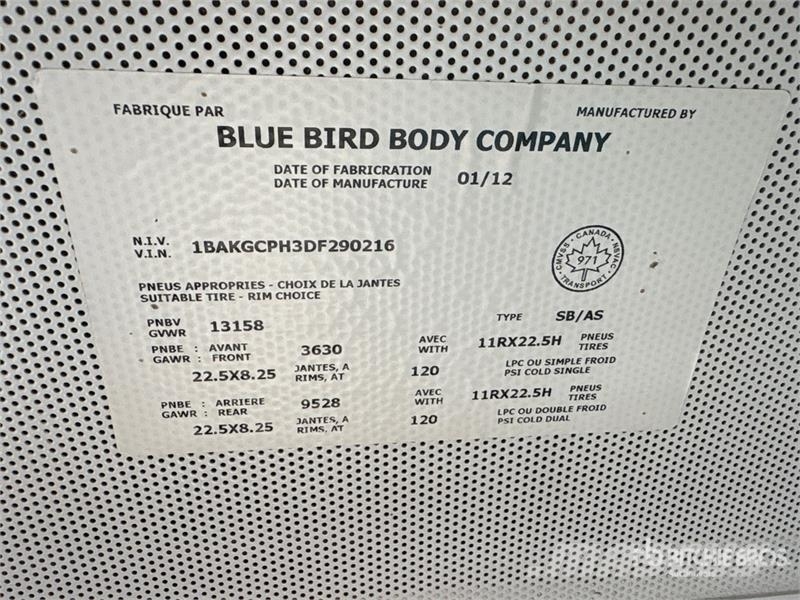 Blue Bird 4x2 72-Seat School Bus Mini buses