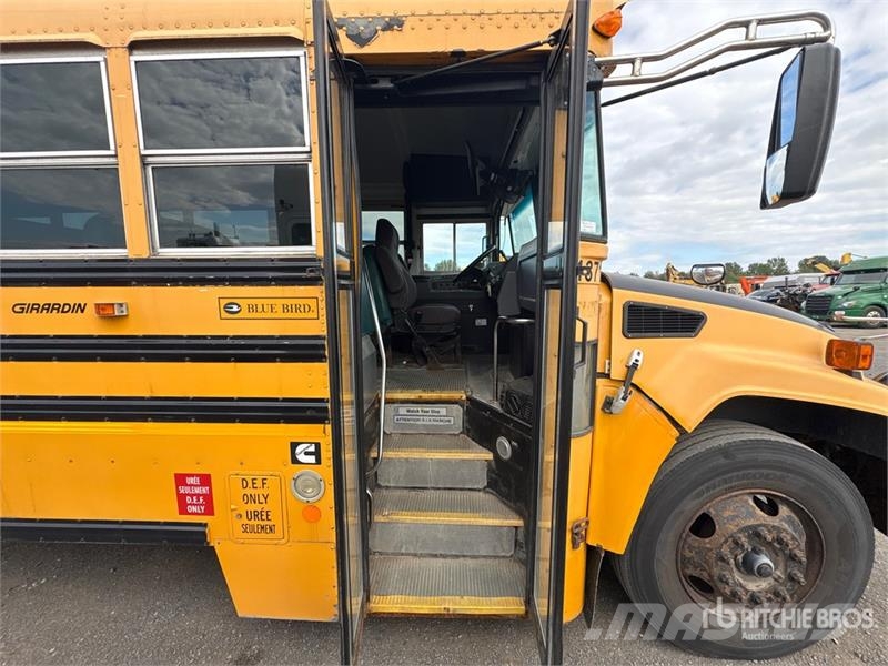 Blue Bird 4x2 72-Seat School Bus Mini buses