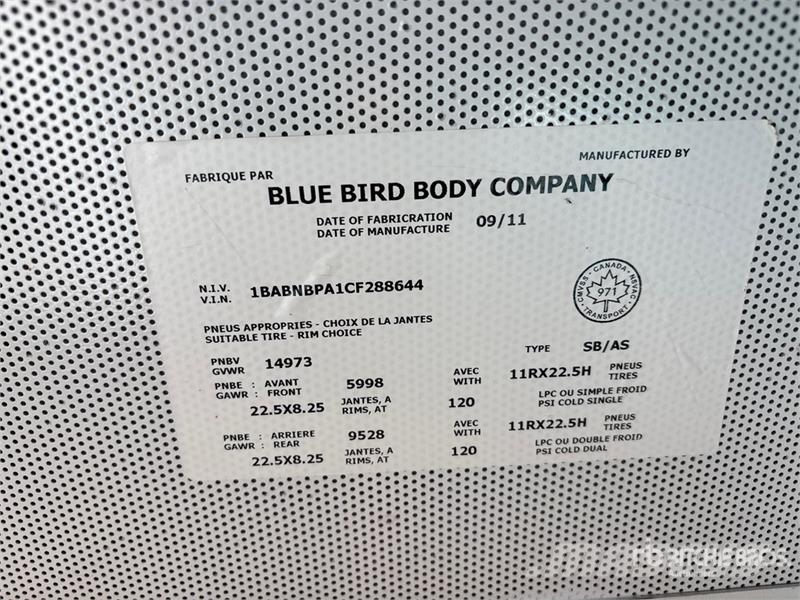 Blue Bird 4x2 84-Seat School Bus Minibusy