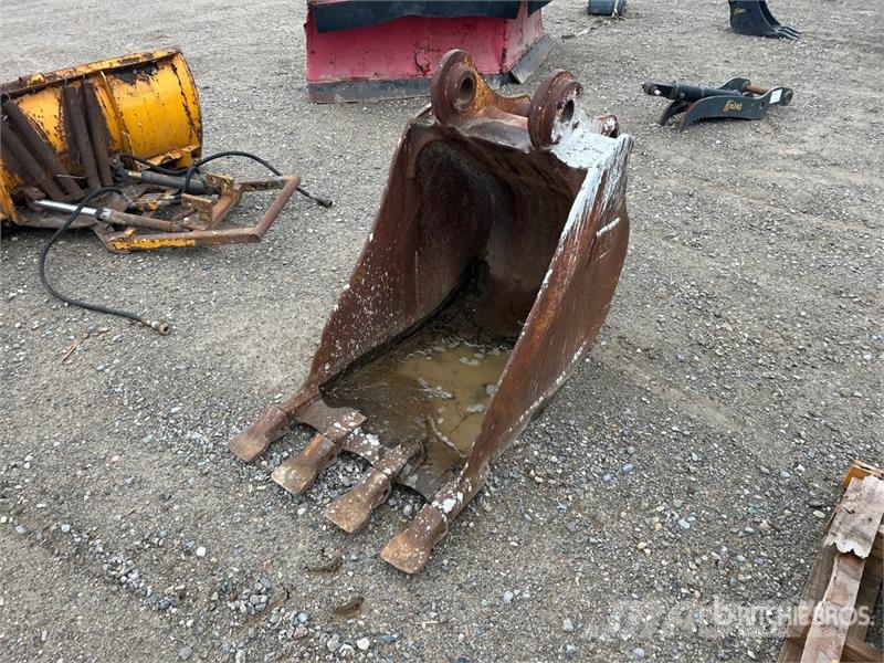 CAT 26 in Excavator Bucket Cucharones