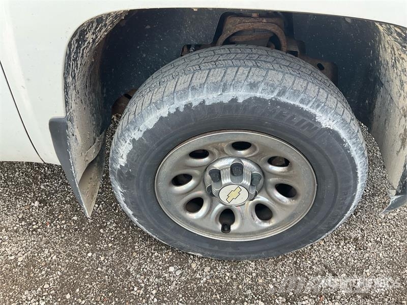 Chevrolet Silverado 1500 4x2 Pickup Furgoni altro