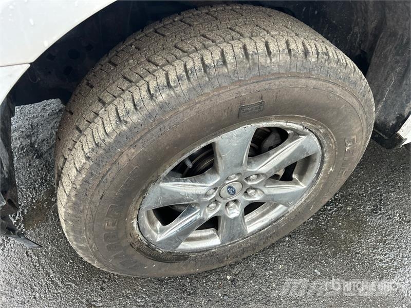 Ford F-150 XLT 4x4 Crew Cab Pickup 其他