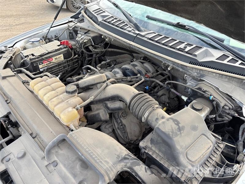 Ford F-150 XLT 4x4 Crew Cab Pickup 其他