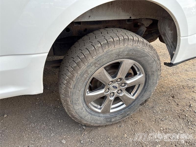 Ford F-150 XLT 4x4 Crew Cab Pickup 其他