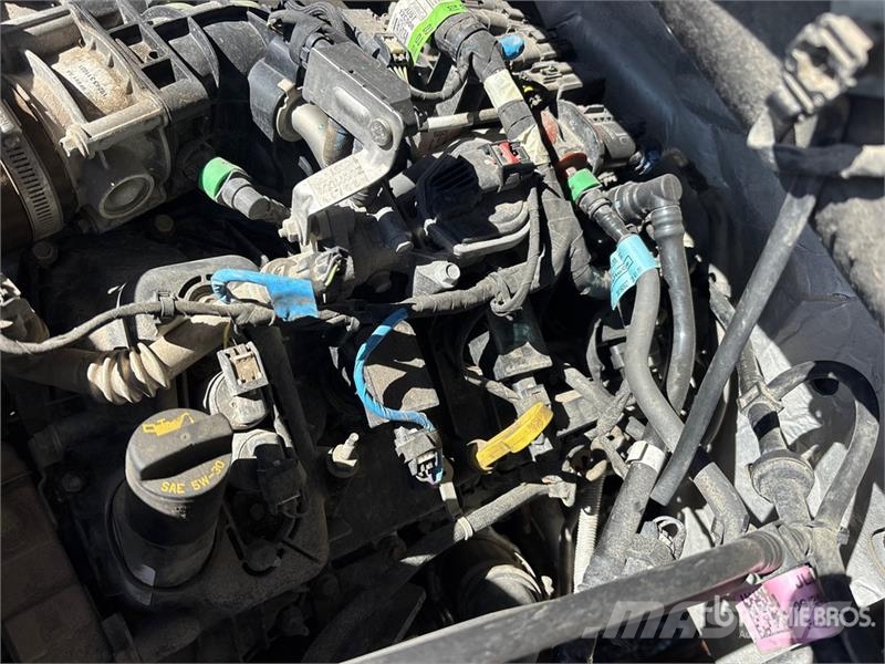 Ford F-150 XLT 4x4 Crew Cab Pickup 其他