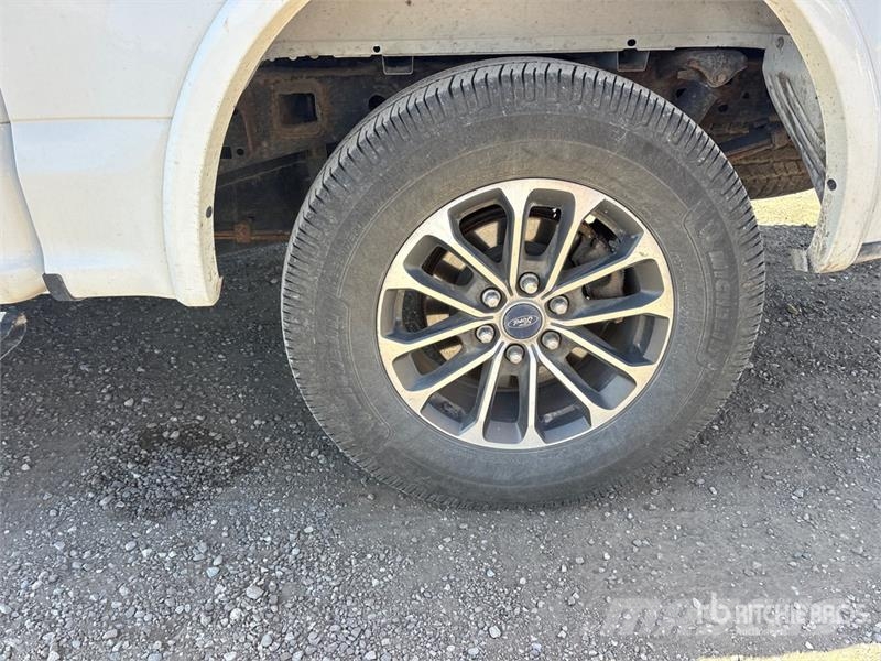 Ford F-150 XLT 4x4 Crew Cab Pickup 其他