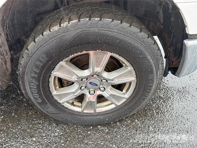 Ford F-150 XLT 4x4 Crew Cab Pickup 其他