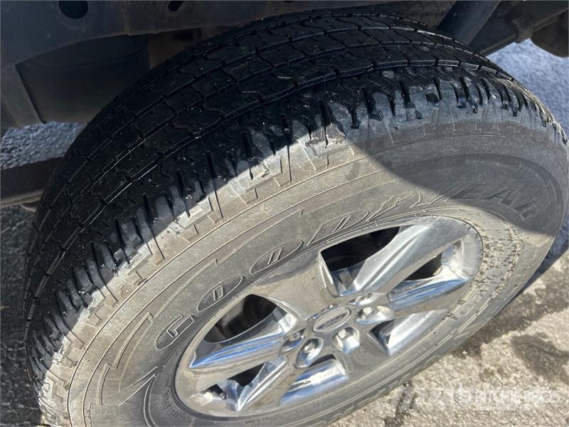 Ford F-150 XLT 4x4 Crew Cab Pickup 其他