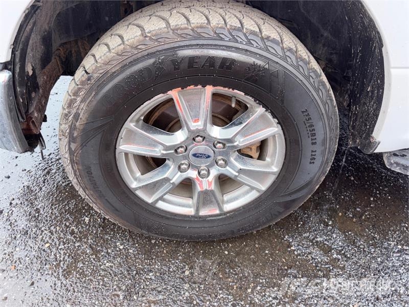Ford F-150 XLT 4x4 Crew Cab Pickup 其他