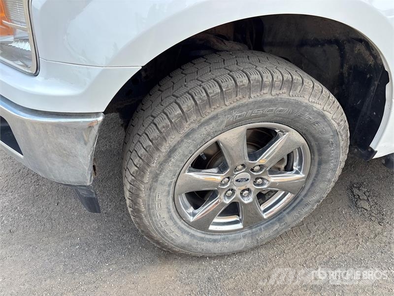 Ford F-150 XLT 4x4 Crew Cab Pickup 其他
