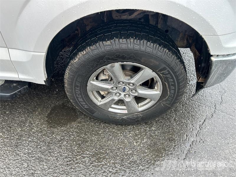 Ford F-150 XLT 4x4 Crew Cab Pickup 其他