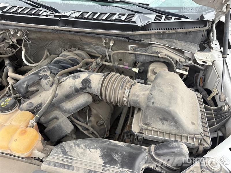 Ford F-150 XLT 4x4 Crew Cab Pickup 其他