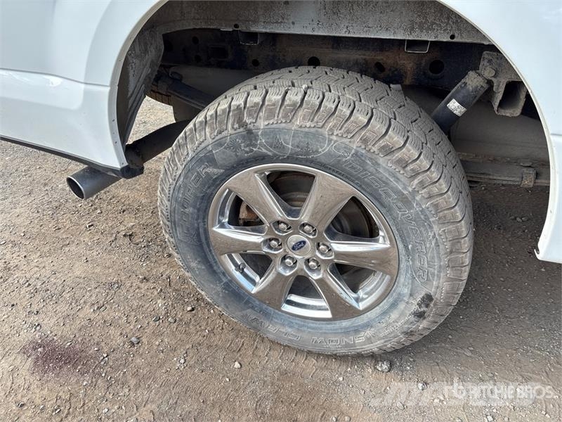 Ford F-150 XLT 4x4 Crew Cab Pickup 其他