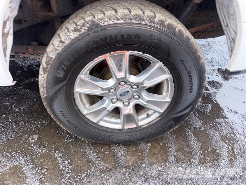 Ford F-150 XLT 4x4 Crew Cab Pickup 其他