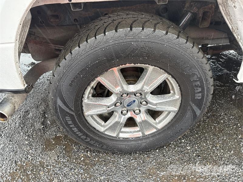 Ford F-150 XLT 4x4 Crew Cab Pickup 其他