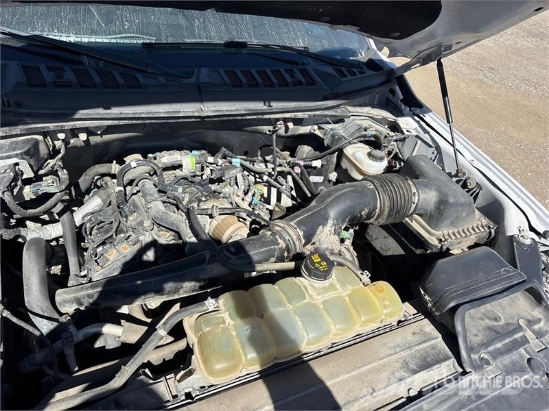 Ford F-150 XLT 4x4 Crew Cab Pickup 其他