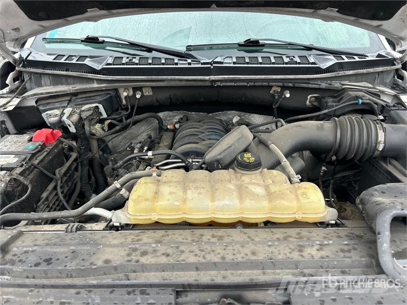 Ford F-150 XLT 4x4 Crew Cab Pickup 其他