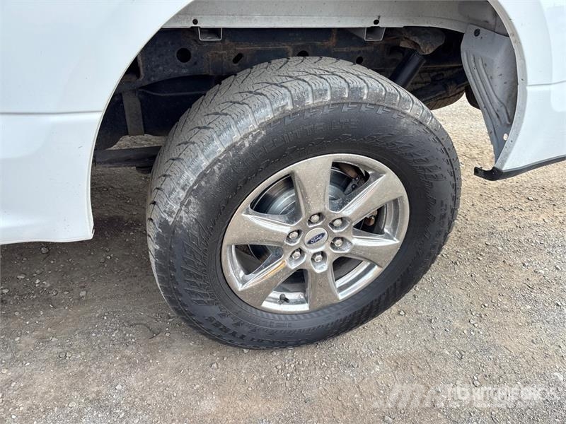 Ford F-150 XLT 4x4 Crew Cab Pickup 其他