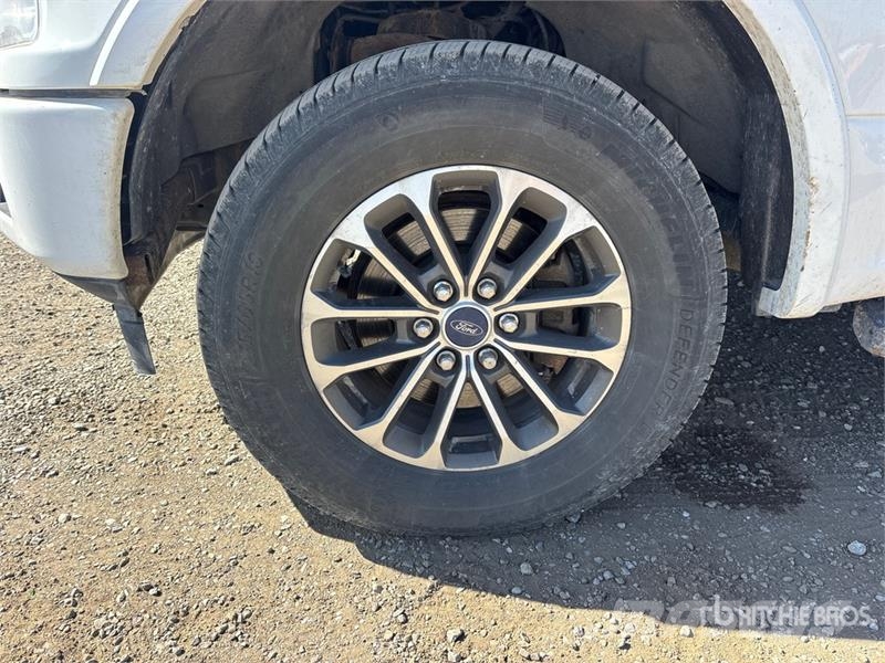 Ford F-150 XLT 4x4 Crew Cab Pickup 其他