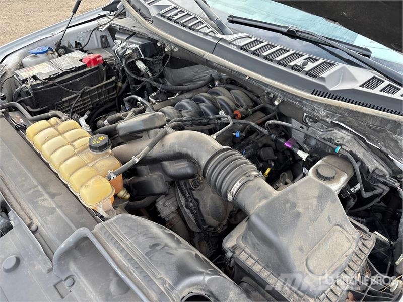 Ford F-150 XLT 4x4 Crew Cab Pickup 其他