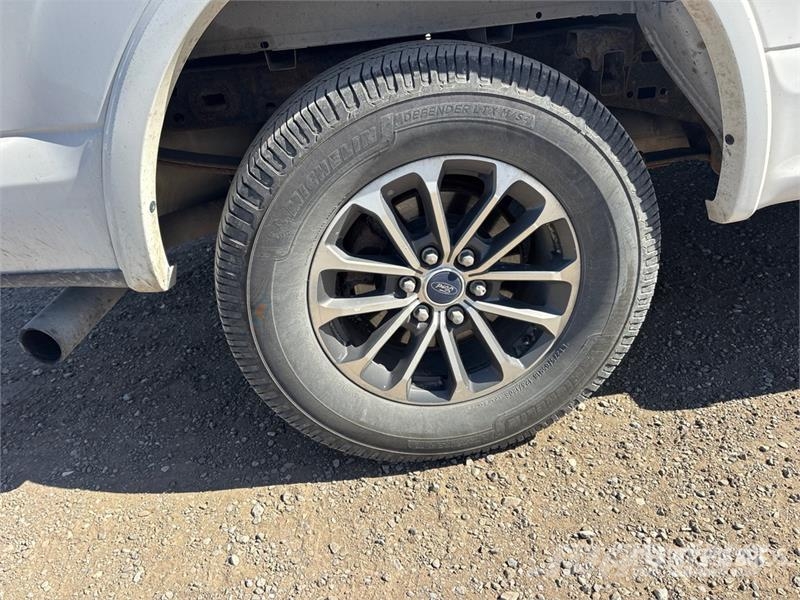 Ford F-150 XLT 4x4 Crew Cab Pickup 其他
