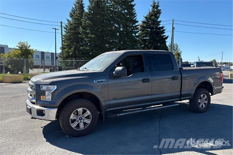 Ford F-150 XLT 4x4 Crew Cab Pickup Furgoni altro