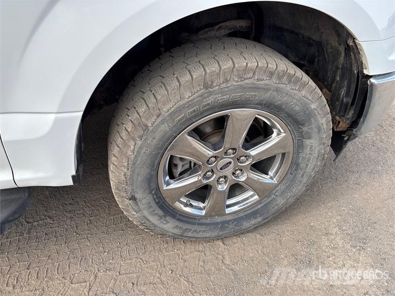 Ford F-150 XLT 4x4 Crew Cab Pickup 其他