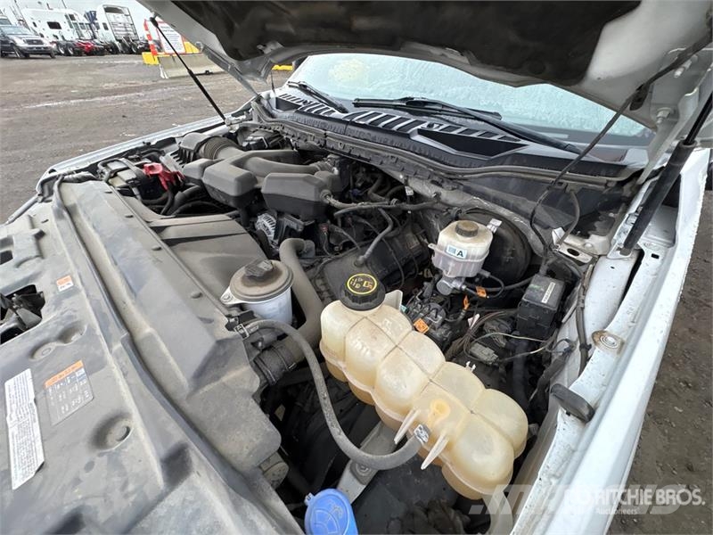 Ford F-250 XL 4x2 Crew Cab Pickup Citi