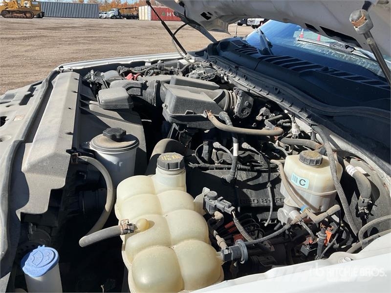 Ford F-250 XL 4x4 Pickup 其他
