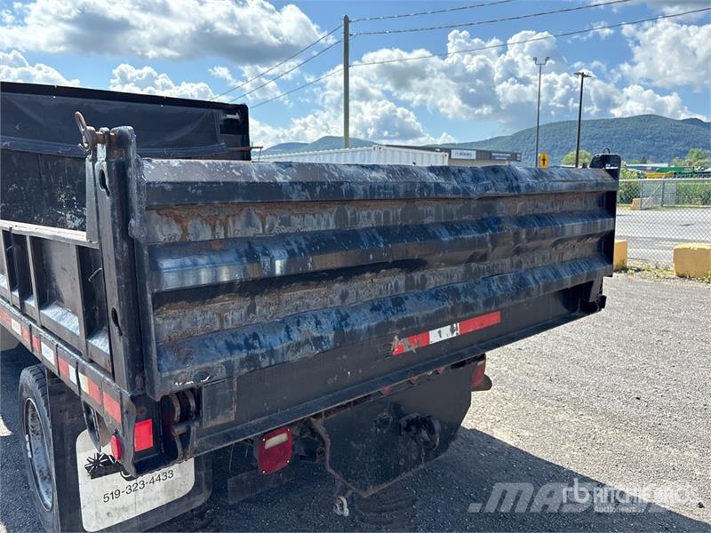 Ford F-450 Φορτηγά Ανατροπή