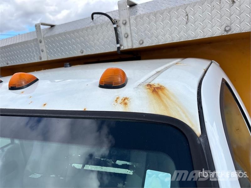 Ford F-550 Camion ribaltabili
