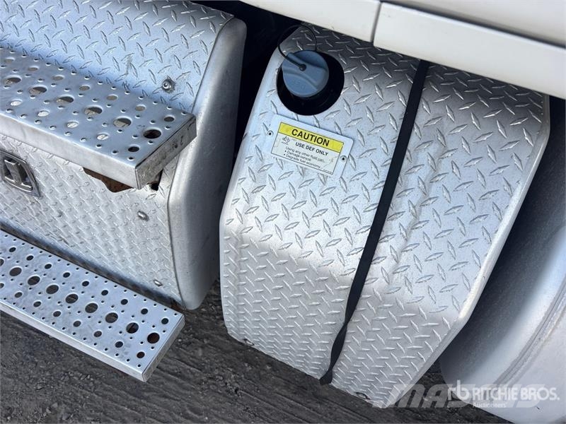 Freightliner Cascadia 113 Motrici e Trattori Stradali