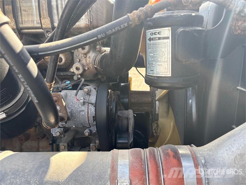 Freightliner Cascadia 125 6x4 Evolution T/A Sleeper Truck Tract Motrici e Trattori Stradali