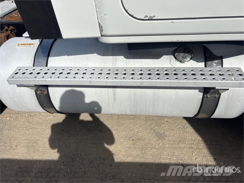Freightliner Cascadia 113 Motrici e Trattori Stradali