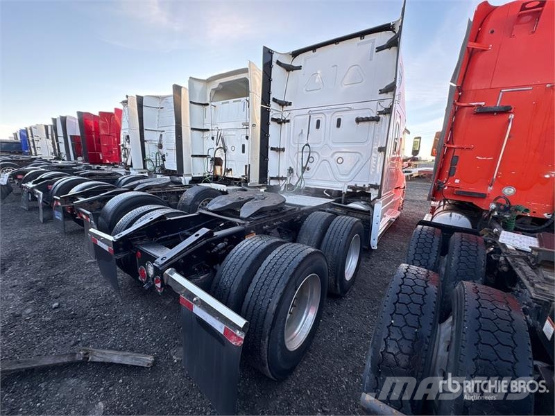 Freightliner Cascadia 126 Motrici e Trattori Stradali