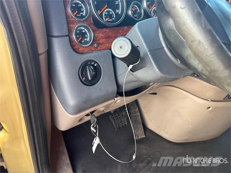 Freightliner Cascadia 113 Motrici e Trattori Stradali