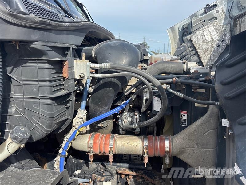Freightliner Cascadia 113 Motrici e Trattori Stradali