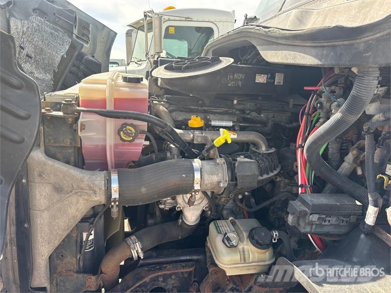 Freightliner Cascadia 113 Motrici e Trattori Stradali