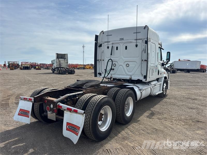 Freightliner Cascadia 113 Motrici e Trattori Stradali