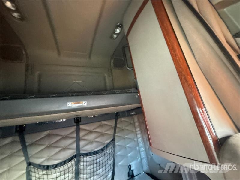 Freightliner Cascadia 113 Motrici e Trattori Stradali