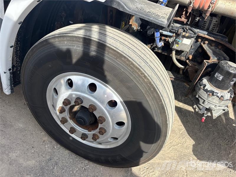 Freightliner Cascadia 113 Motrici e Trattori Stradali